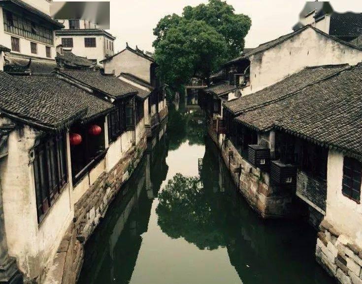 小艾比当海军